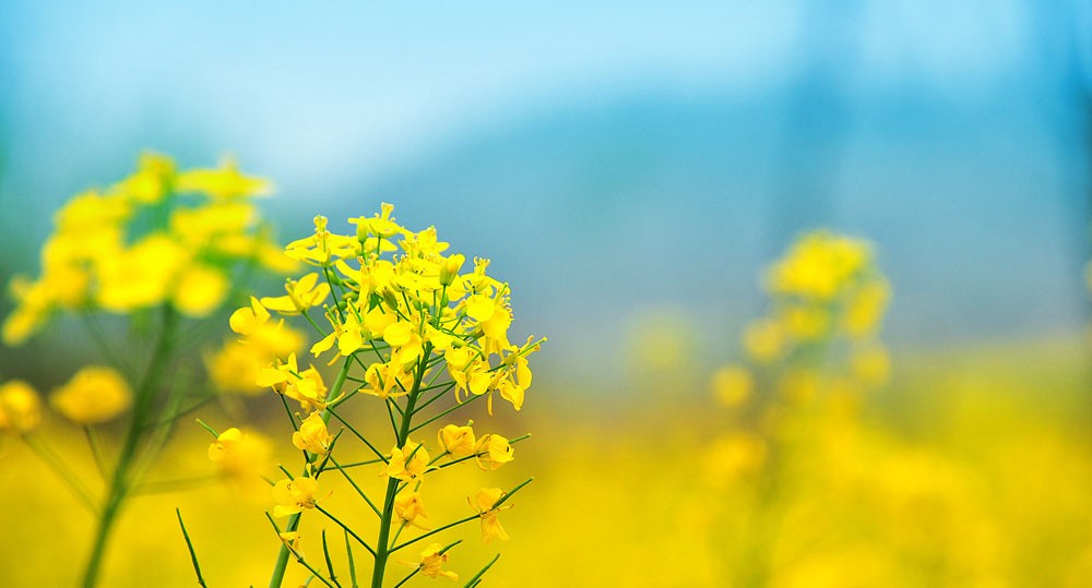 币安网的交易所app官网下载最新版本 币安Binance：一站式加密货币交易解决方案。
